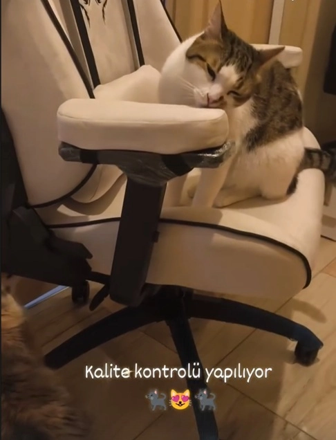 Müşterimizden Kare