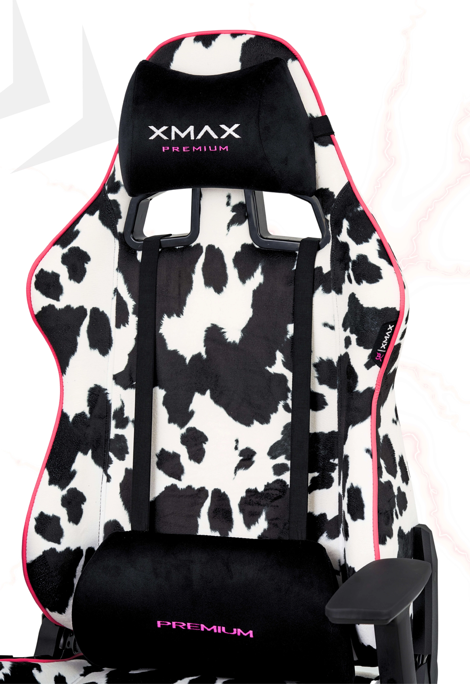 Dalmaçyalı Oyuncu Koltuğu | XMAX Rio Plus Balerion