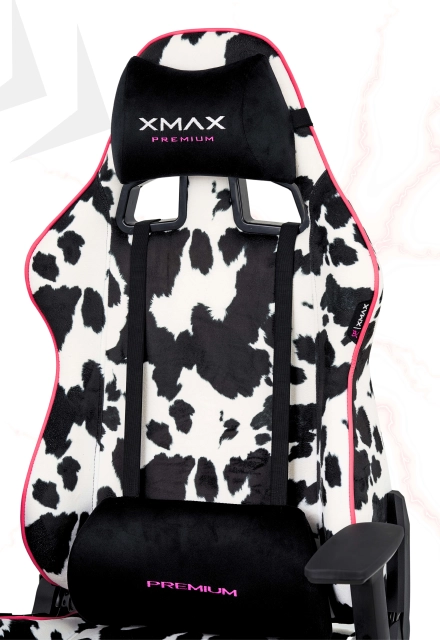 Dalmaçyalı Oyuncu Koltuğu | XMAX Rio Plus Balerion